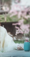 网剧2019《从前有座灵剑山》人物高清剧照图片
