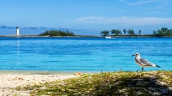 唯美的海边城市旅游圣地电脑壁纸