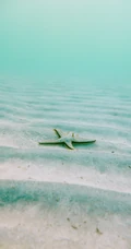 大浪淘沙，涌动的海浪高清手机壁纸