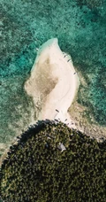 美丽的风景线沙滩，海滩高清手机壁纸
