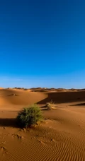 探索神秘的沙漠无人区，高清沙漠旅游手机壁纸图片