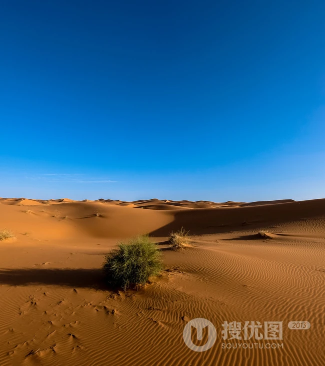 探索神秘的沙漠无人区，高清沙漠旅游手机壁纸图片
