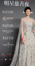 女演员练练明星慈善夜活动写真图片
