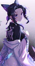 《鬼灭之刃》主要角色，虫柱&middot;蝴蝶忍，蝴蝶香奈惠，栗花落香奈乎手机壁纸