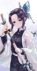 《鬼灭之刃》主要角色，虫柱&middot;蝴蝶忍，蝴蝶香奈惠，栗花落香奈乎手机壁纸