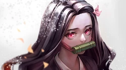 鬼灭之刃女主角灶门祢豆子个人壁纸图片