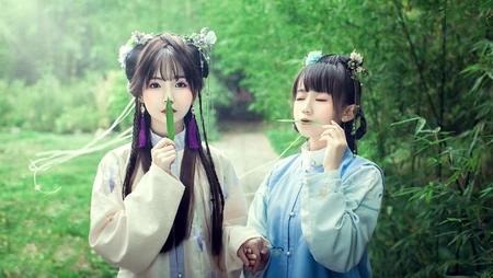 古风穿汉服的小姐姐系列壁纸一
