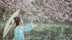 古风穿汉服的小姐姐系列壁纸一