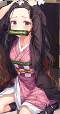 动漫《鬼灭之刃》女主角灶门祢豆子图片