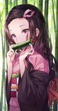 动漫《鬼灭之刃》女主角灶门祢豆子图片