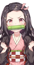 动漫《鬼灭之刃》女主角灶门祢豆子图片