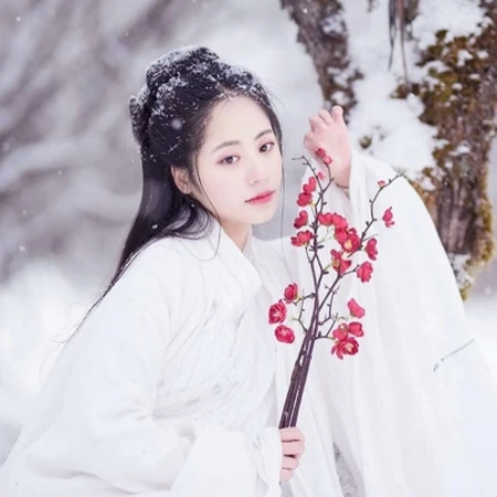 2020绝美古风雪景下的小姐姐，柔美绝伦头像