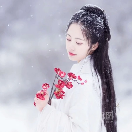 2020绝美古风雪景下的小姐姐，柔美绝伦头像