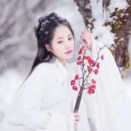 2020绝美古风雪景下的小姐姐，柔美绝伦头像