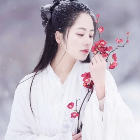 2020绝美古风雪景下的小姐姐，柔美绝伦头像