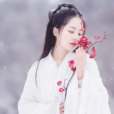 2020绝美古风雪景下的小姐姐，柔美绝伦头像