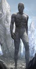 科幻手机壁纸未来的机器人，机甲2K屏手机壁纸