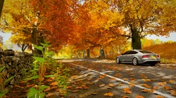 奥迪RS7（Audi RS7）轿跑桌面壁纸图片
