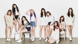 韩国娱乐女子团体Twice写真壁纸