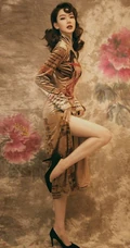 戚薇超美复古中国风旗袍写真图片