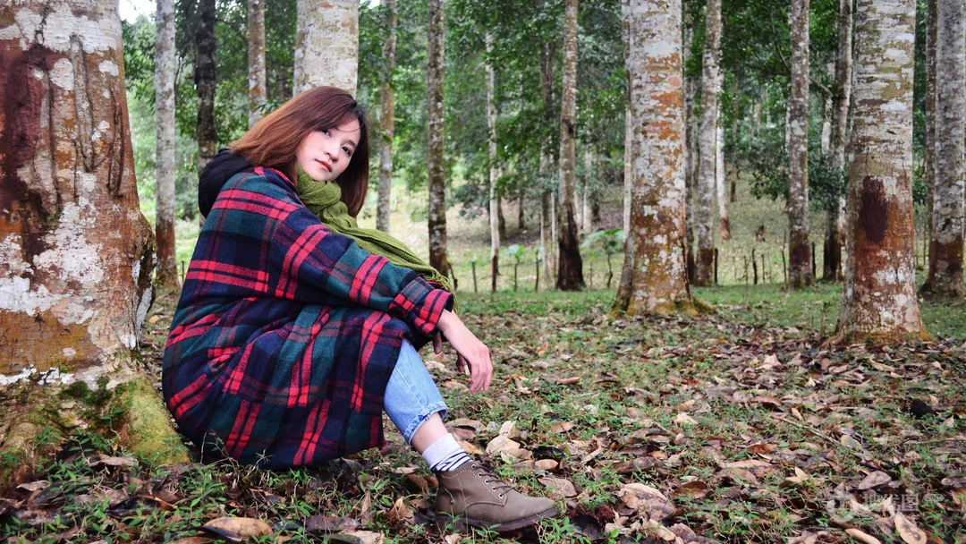 森林旅游亲近大自然唯美森林摄影壁纸图片