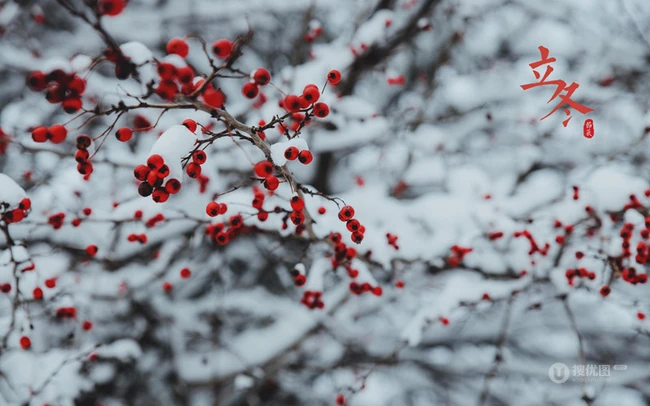 雪景图片，24节气之立冬下雪雪景唯美图片