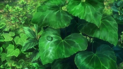 超美动漫场景桌面壁纸，二次元植物，风景壁纸图片