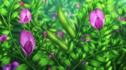 超美动漫场景桌面壁纸，二次元植物，风景壁纸图片
