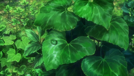 超美动漫场景桌面壁纸，二次元植物，风景壁纸图片