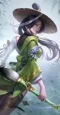 王者荣耀英雄皮肤系列（花木兰，张飞，上官婉儿等）手机壁纸五