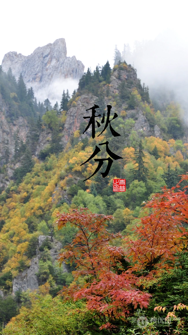唯美山水奇特自然风光4K无水印手机风景壁纸