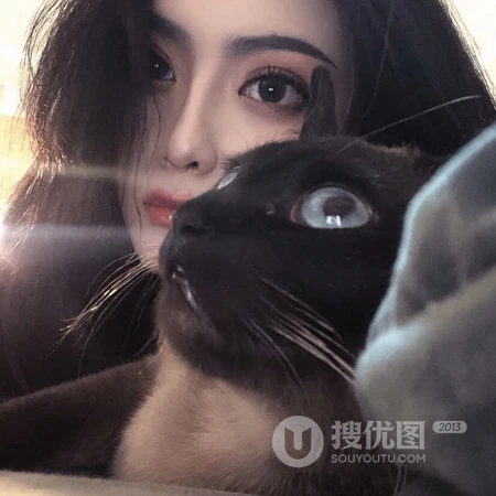 日本穿和服的女生，抱着宠物猫的女生轻熟等头像图片下载