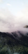 雾蒙蒙的大山森林，高海拔的唯美雪山手机壁纸
