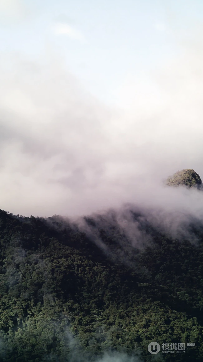 雾蒙蒙的大山森林，高海拔的唯美雪山手机壁纸
