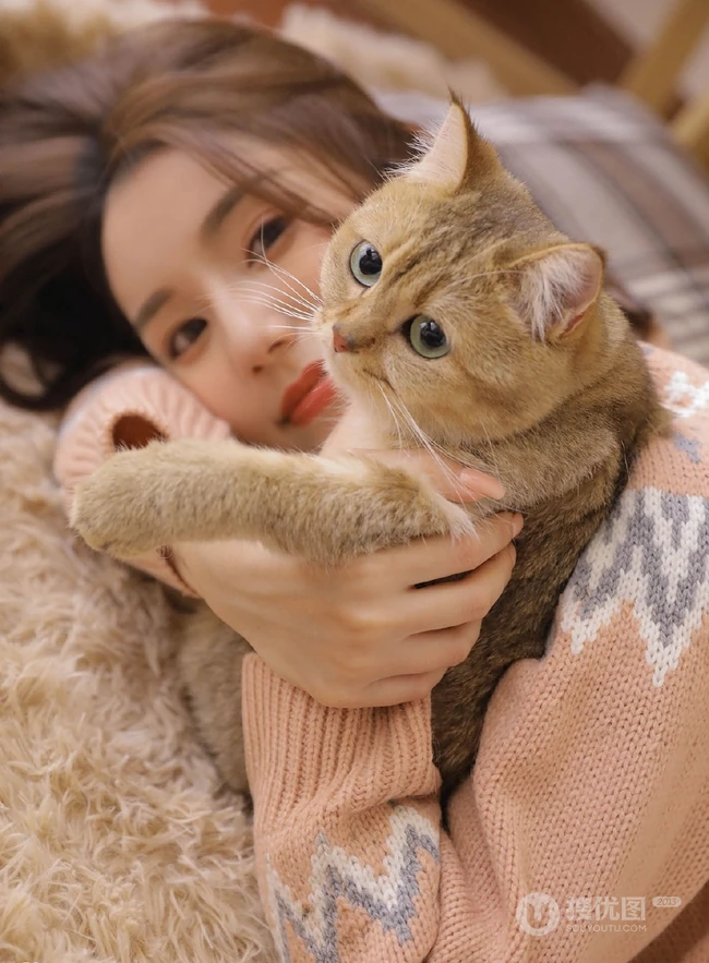 爱逗猫的白皙线条感少女，穿着毛衣短裤气质室内写真图片