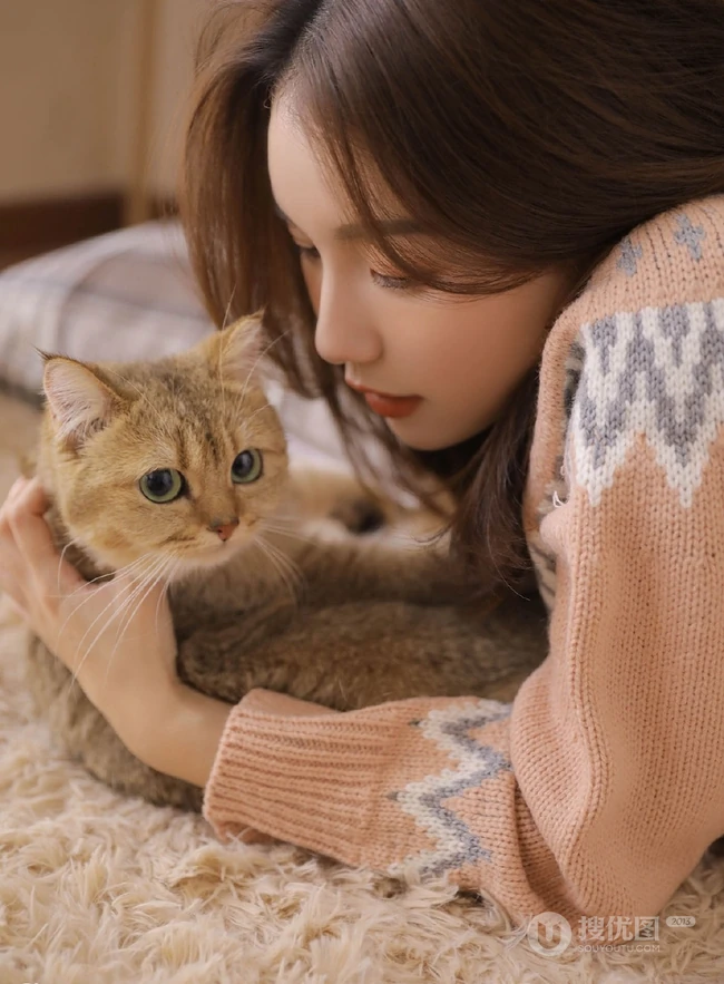爱逗猫的白皙线条感少女，穿着毛衣短裤气质室内写真图片