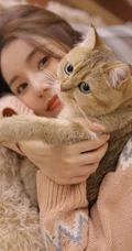爱逗猫的白皙线条感少女，穿着毛衣短裤气质室内写真图片