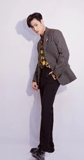 台湾演员，歌手董又霖（Jeffrey）帅气西装写真图片