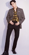 台湾演员，歌手董又霖（Jeffrey）帅气西装写真图片