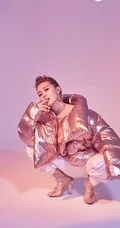 女生歌手常思思充气式金粉羽绒服酷美写真图片