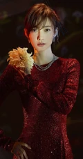王丽坤演绎各种复古新娘服饰造型杂志写真图片