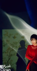 王丽坤演绎各种复古新娘服饰造型杂志写真图片
