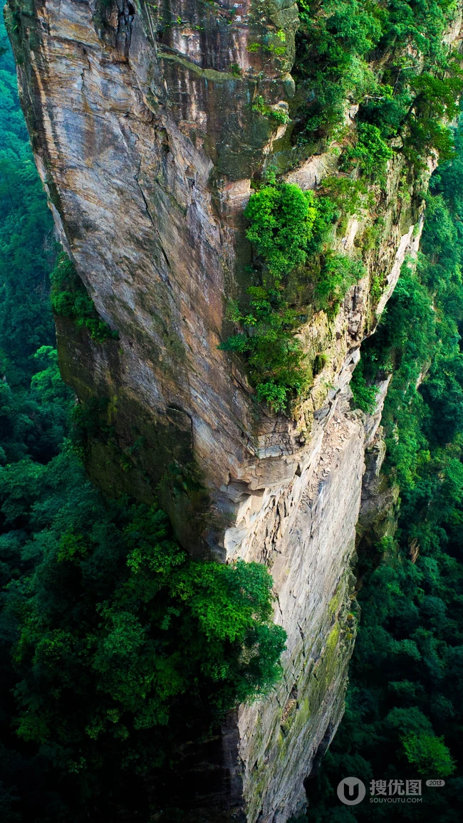 唯美的山中静湖，雾色唯美的小清新森林手机壁纸