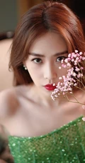 刘美彤大秀美背，着绿色闪光裙优雅动人写真图片