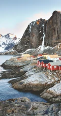 秋季满山黄叶的森林，唯美的雪山风景等高清手机4K壁纸图片