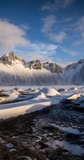 秋季满山黄叶的森林，唯美的雪山风景等高清手机4K壁纸图片