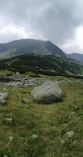秋季满山黄叶的森林，唯美的雪山风景等高清手机4K壁纸图片
