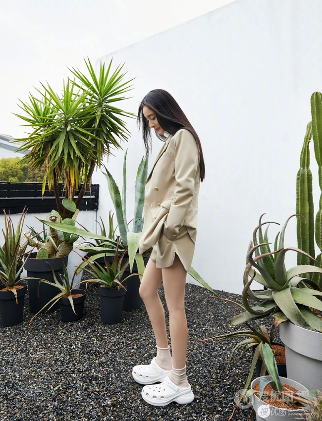 杨幂绿洲植物园中干练写真美图，西装短裤尽显动人大白线条感