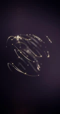 3D金色线条拖尾特效创意手机壁纸
