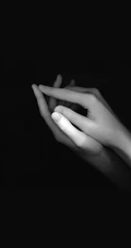 Iphonexs,113D内部透明元件，玫瑰花丛中的猪，黑白吸烟的男子，静心文字等手机壁纸